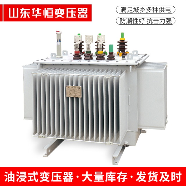 S13-10000/35麟游麟游麟游电力变压器